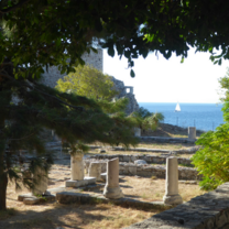 Intern in Samos Island Greece