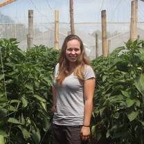 Agriculture & Environmental Conservation internships in Guatemala