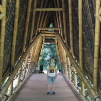 Intern Abroad HQ Affordable internships in Bali