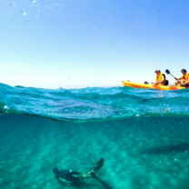 Conservation Research Intern in Samos Island Greece