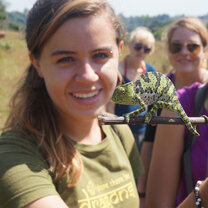 West Africa Semester: Rhythms of Senegal West Africa Semester: Rhythms of Senegal
