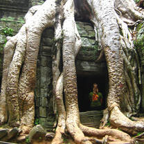 Cambodia: Peace-Building and Conservation