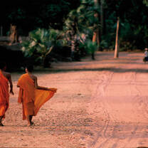Cambodia: Peace-Building and Conservation