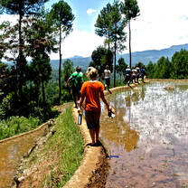 Indonesia Summer: Conservation & Culture in the World's Largest Archipelago