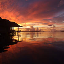 Indonesia Semester: Conservation & Culture in the World's Largest Archipelago