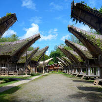 Indonesia Semester: Conservation & Culture in the World's Largest Archipelago