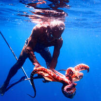 Indonesia Semester: Conservation & Culture in the World's Largest Archipelago
