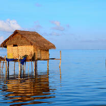 Indonesia Semester: Conservation & Culture in the World's Largest Archipelago