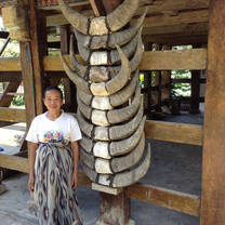 Indonesia Summer: Conservation & Culture in the World's Largest Archipelago