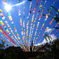 Southeast Asia Semester: Environment & Spirituality Along the Mekong River