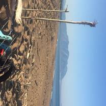 Morning Survey Beach
