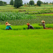 Myanmar: Visions of Democracy 
