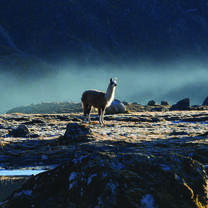 Study Abroad South America: The Spirit of the Andes