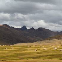  Peru: Sacred Mountains