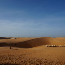 West Africa Semester: Rhythms of Senegal West Africa Semester: Rhythms of Senegal