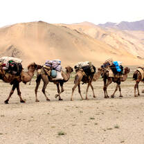 China and Kyrgyzstan: The Silk Road High School Summer Program