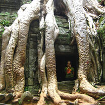 Cambodia: Peace-Building and Conservation