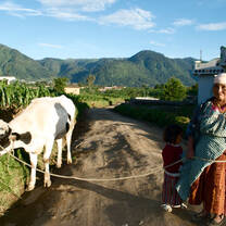 Guatemala: Spanish Language Intensive