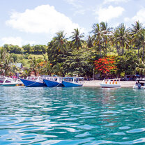 Gili T snorkelling 