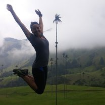 Valle del Cocora, where the tallest palm trees in the world grow. 