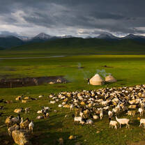 China and Kyrgyzstan: The Silk Road High School Summer Program