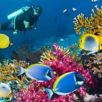 GoEco - Private Island Marine Experience