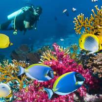 GoEco - Private Island Marine Experience
