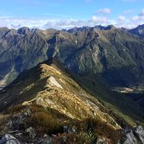 Kepler Track