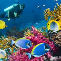 GoEco - Private Island Marine Experience