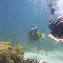 GoEco - Manatee and Marine Conservation