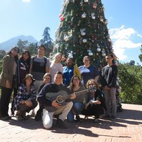 Christmas tree group