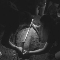 🐢 measuring/tagging