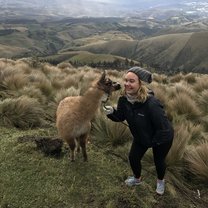 Alpaca