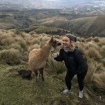 Alpaca