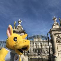 University at Albany at the International Institute, Madrid 