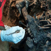CA La Brea Tar Pits