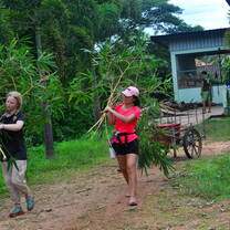 Volunteers walking with tree branches
