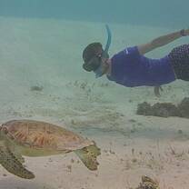 Free diving with turtles at Tobago Cays.