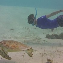 Free diving with turtles at Tobago Cays.