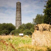 Ireland Ferrycarrig Winter