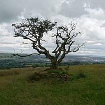 UK- Pendle Hill Witches