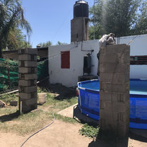 Sapo Pepe renovation!