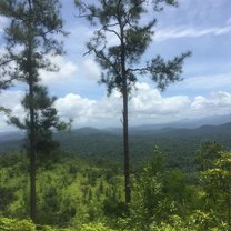 Everyday in paradise!