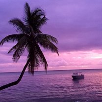Sunset fiji