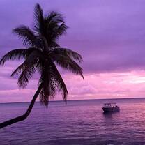 Sunset fiji