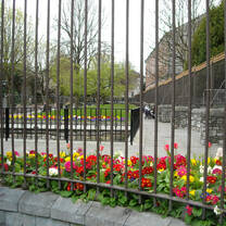 Garden in Cork