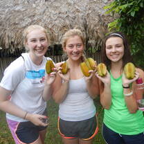 Star Fruit