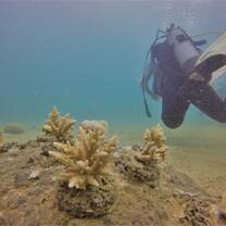 Marine Conservation Program