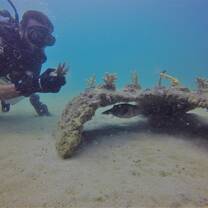Marine Conservation Program