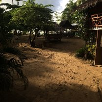 Volunteer Camp